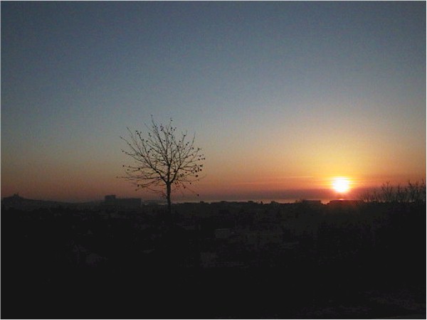 Marseilles Sunset