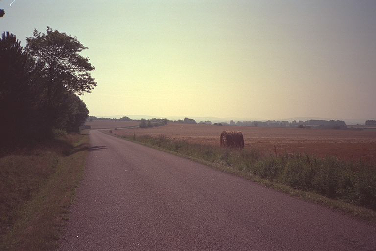 White Road