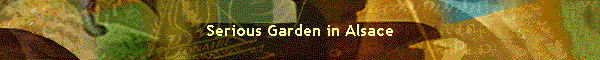 Serious Garden in Alsace