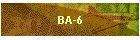 BA-6